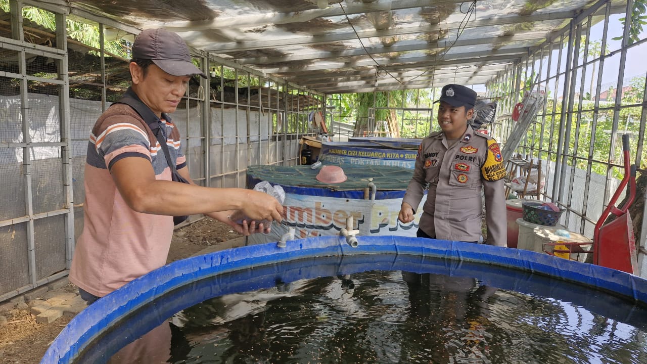 Pak Bhabin Sidoarjo Cek Budi Daya Lele Sukodono