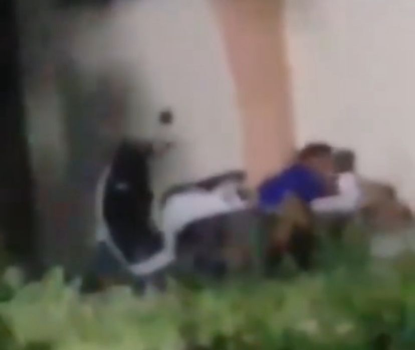 Viral Sejoli Diduga Mesum di GOR Alun-alun Sidayu Gresik, Polisi Lakukan Penyelidikan