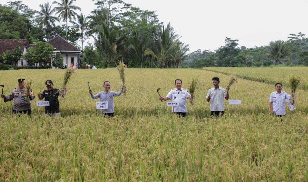 Bupati Hendy Meyakinkan Petani Beralih Pupuk Organik