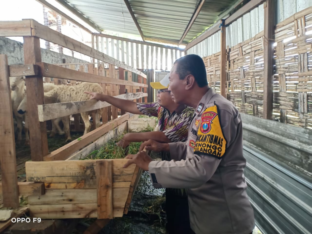 Wujud Dukungan Ketahanan Pangan, Polisi Terjun Langsung Pemeriksaan Hewan Ternak di Desa Kenongo Tulangan