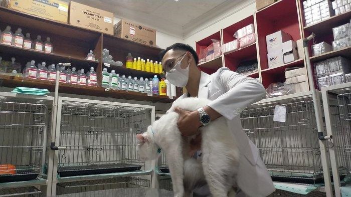 Yang Perlu Diperhatikan saat Hewan Peliharaan Ditinggal Mudik Lebaran