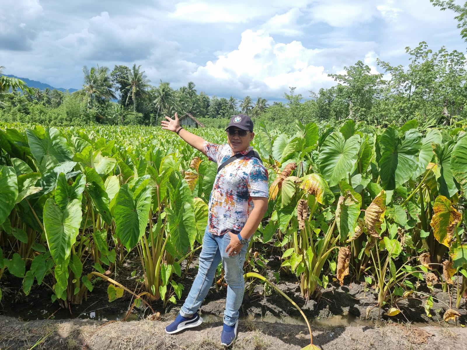 PT Yafo Agro Indonesia Dukung Diversifikasi dan Ketahanan Pangan yang Ramah Lingkungan