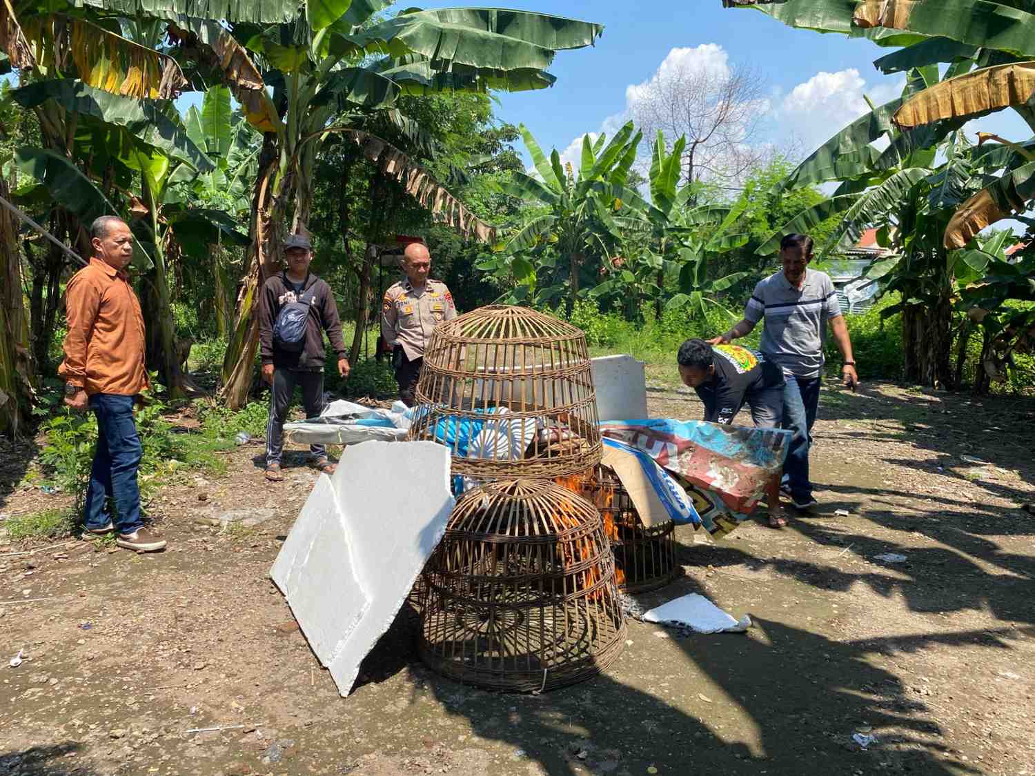 Resahkan Masyarakat, Polsek Sedati Bakar Arena Sabung Ayam