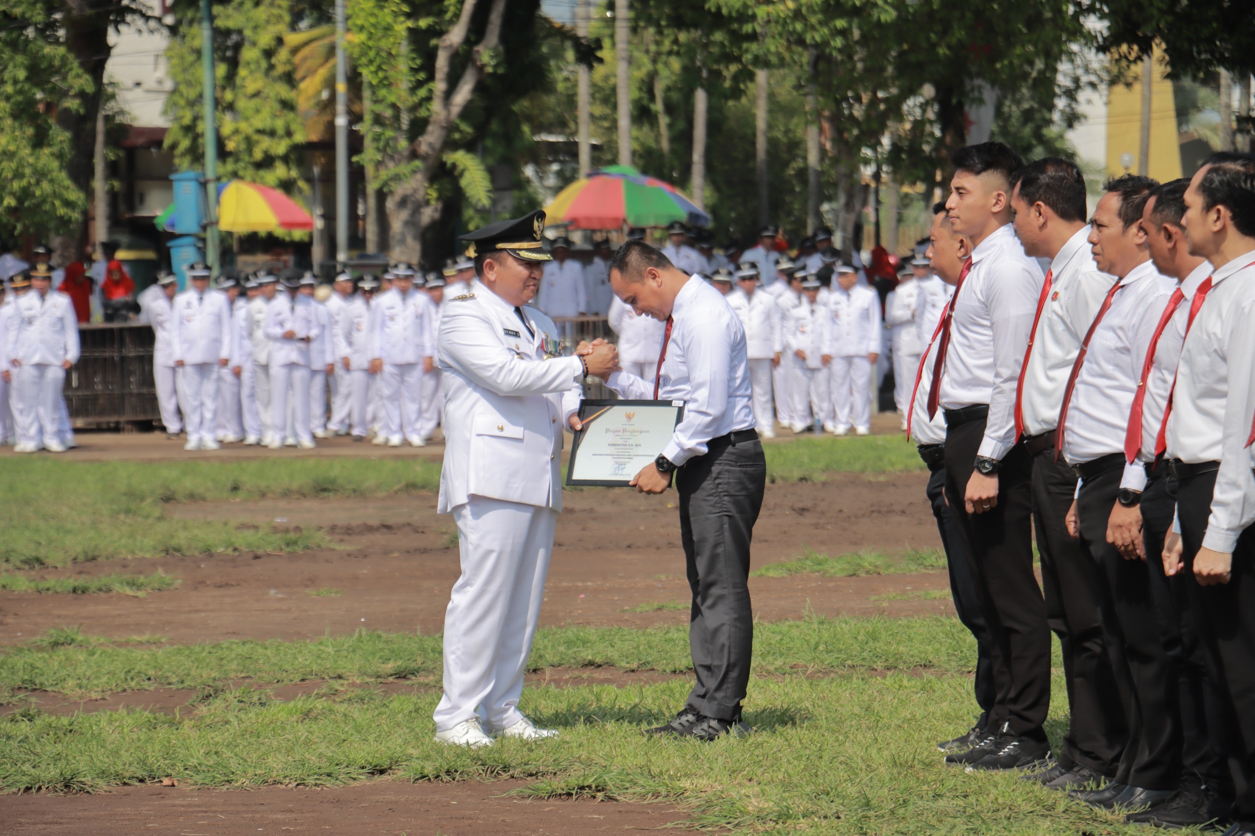 Berhasil Bongkar Kasus Ganja Tanam, Satreskoba Polres Jember Diganjar Penghargaan Bupati 