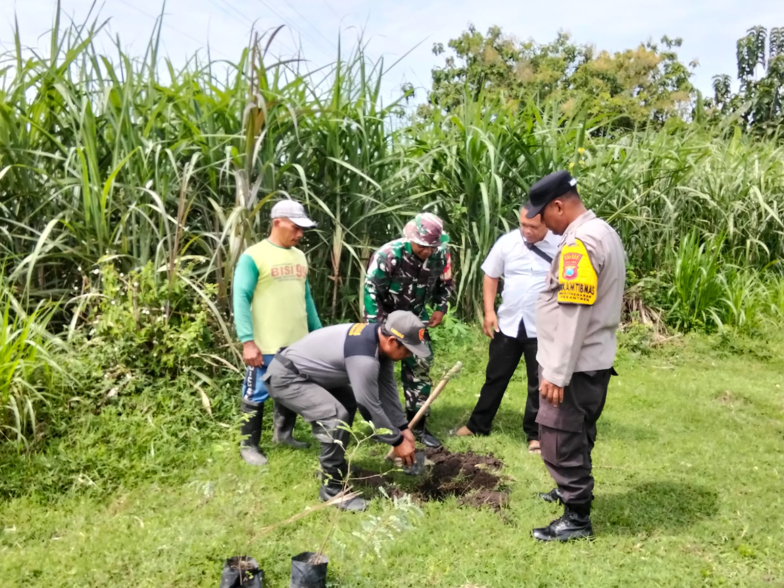 Peringati Hari Juang TNI AD 2025, Koramil 02/Pesantren Tanam 1.500 Pohon