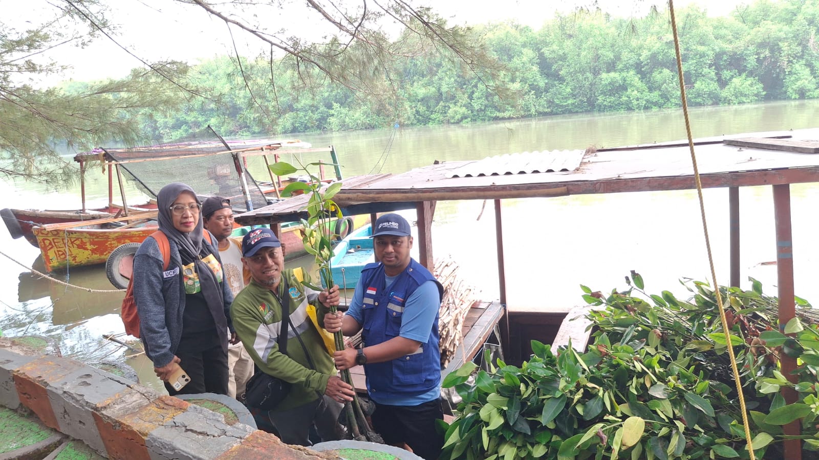 Perluas Program Donasi Oksigen, PT Terminal Petikemas Surabaya Tanam Mangrove di Romokalisari