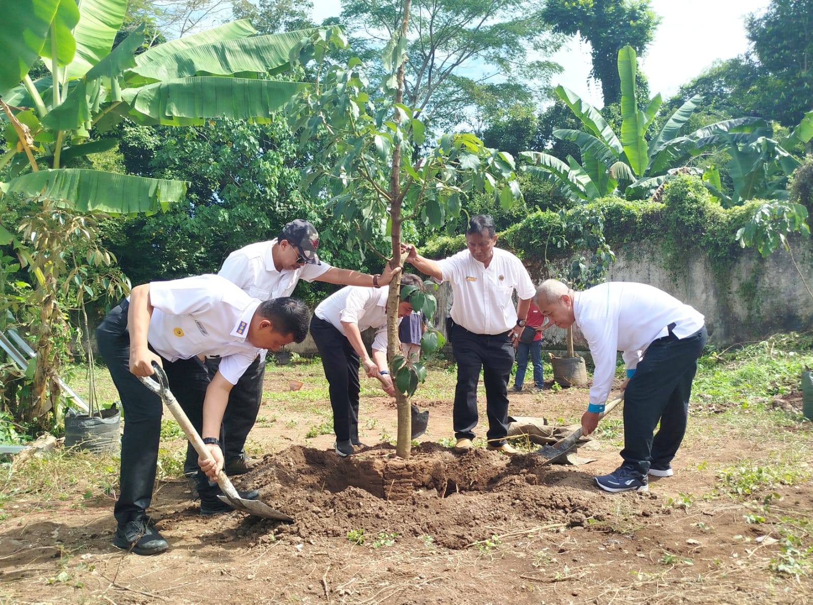 Kantor ATR/BPN Jember Tanam 100 Pohon Buah dalam Rangka Hari Lingkungan Hidup Sedunia