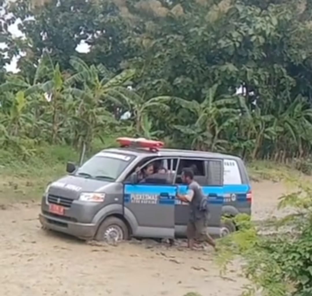 Ada-Ada Saja! Mobil Sehat Terjun Bebas ke Sawah di Lamongan