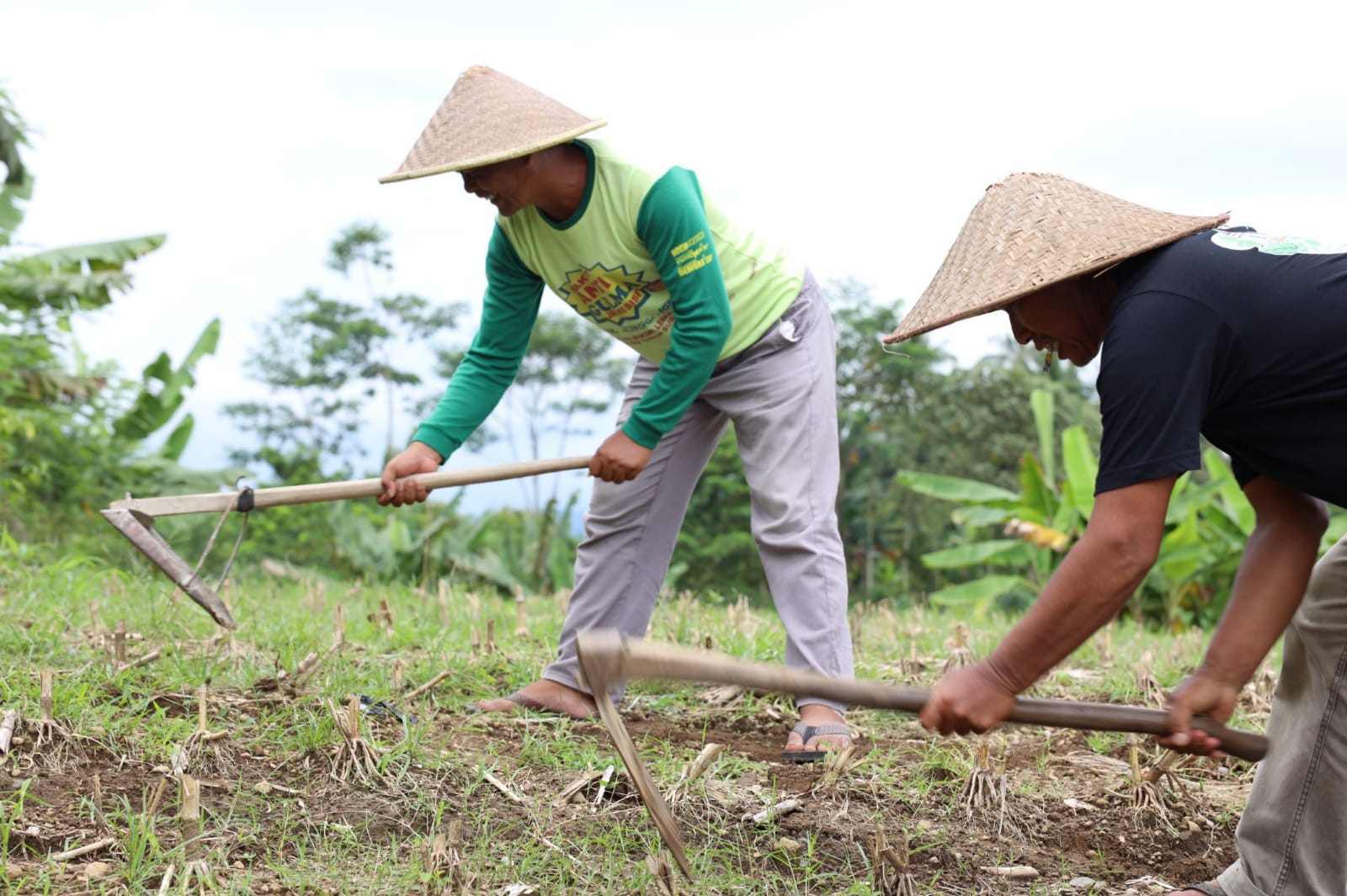 Konflik Belasan Tahun Berakhir, Sertipikat Redistribusi Tanah dari BPN Buka Jalan Pemulihan Ekonomi Desa Soso