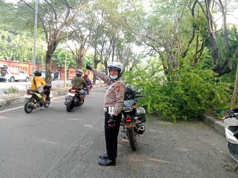 Polisi dan DLHK Sigap Tangani Pohon Tumbang di Depan Museum Mpu Tantular Sidoarjo