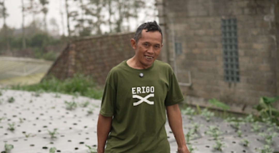 Berkat Program MBG, Petani Boyolali ini Bisa Salurkan hingga 40 Kg Selada