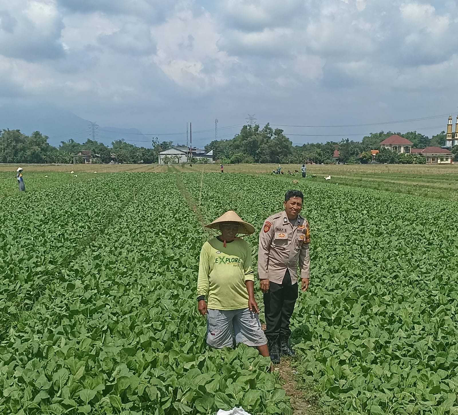 Polsek Tulangan Turun ke Lahan Sayur Desa Grabagan
