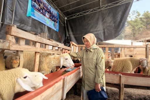 Jelang Hari Raya Iduladha, DKPP Lumajang Perkuat Pengawasan Kesehatan Hewan Kurban