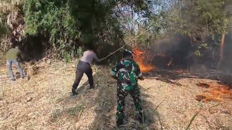 Kebakaran Rumpun Bambu di Barurejo Sambeng Lamongan, Polisi Ultimatum Warga Bakar Sampah
