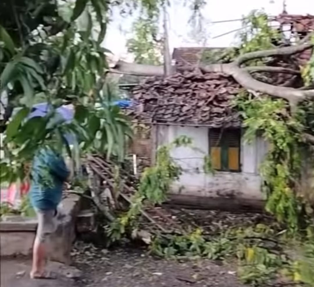 Badai Angin dan Hujan Deras Landa Tiga Desa di Lamongan, Satu Rumah Rusak dan Warga Terluka