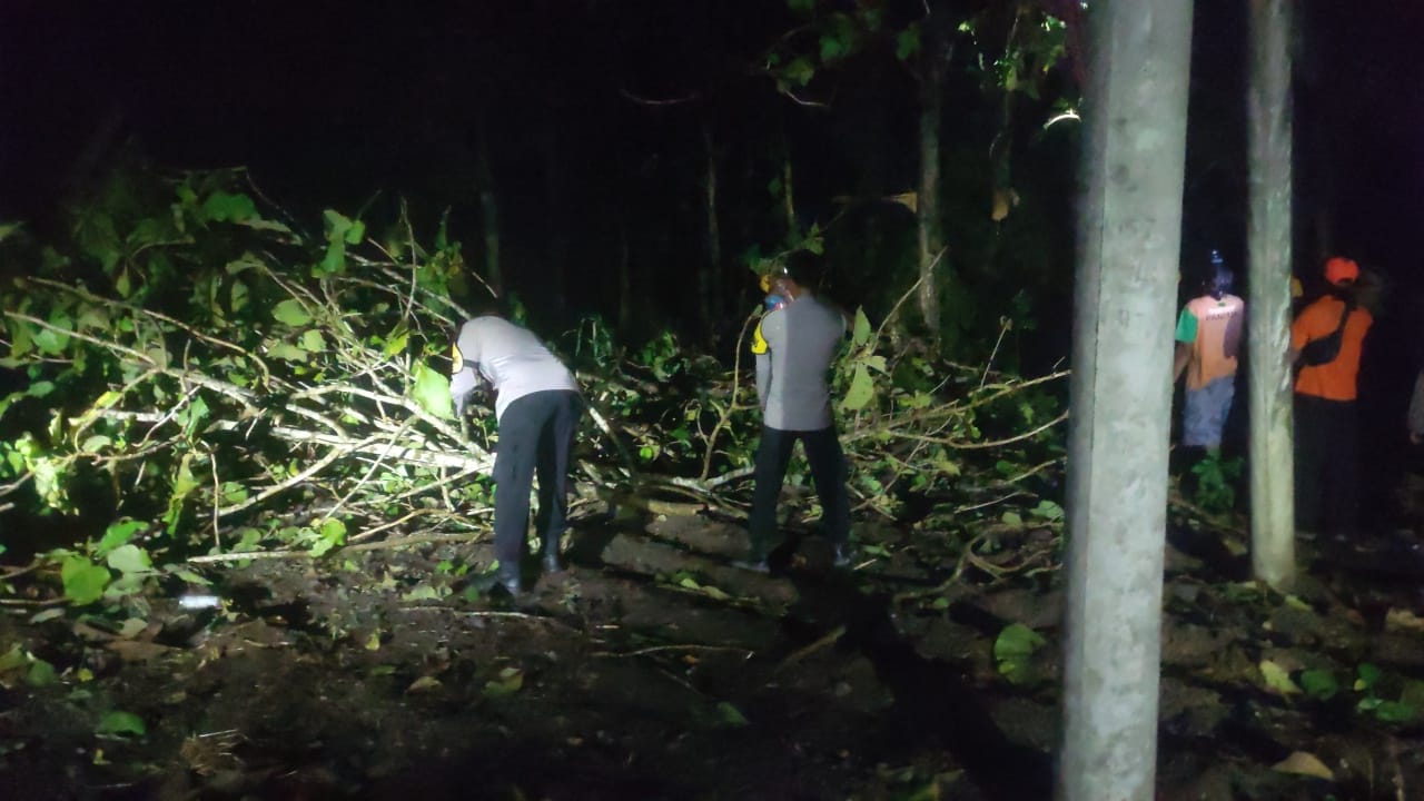 Gercep, Polisi Ngawi Evakuasi Pohon Tumbang Timpa Jaringan Listrik di Karanganyar