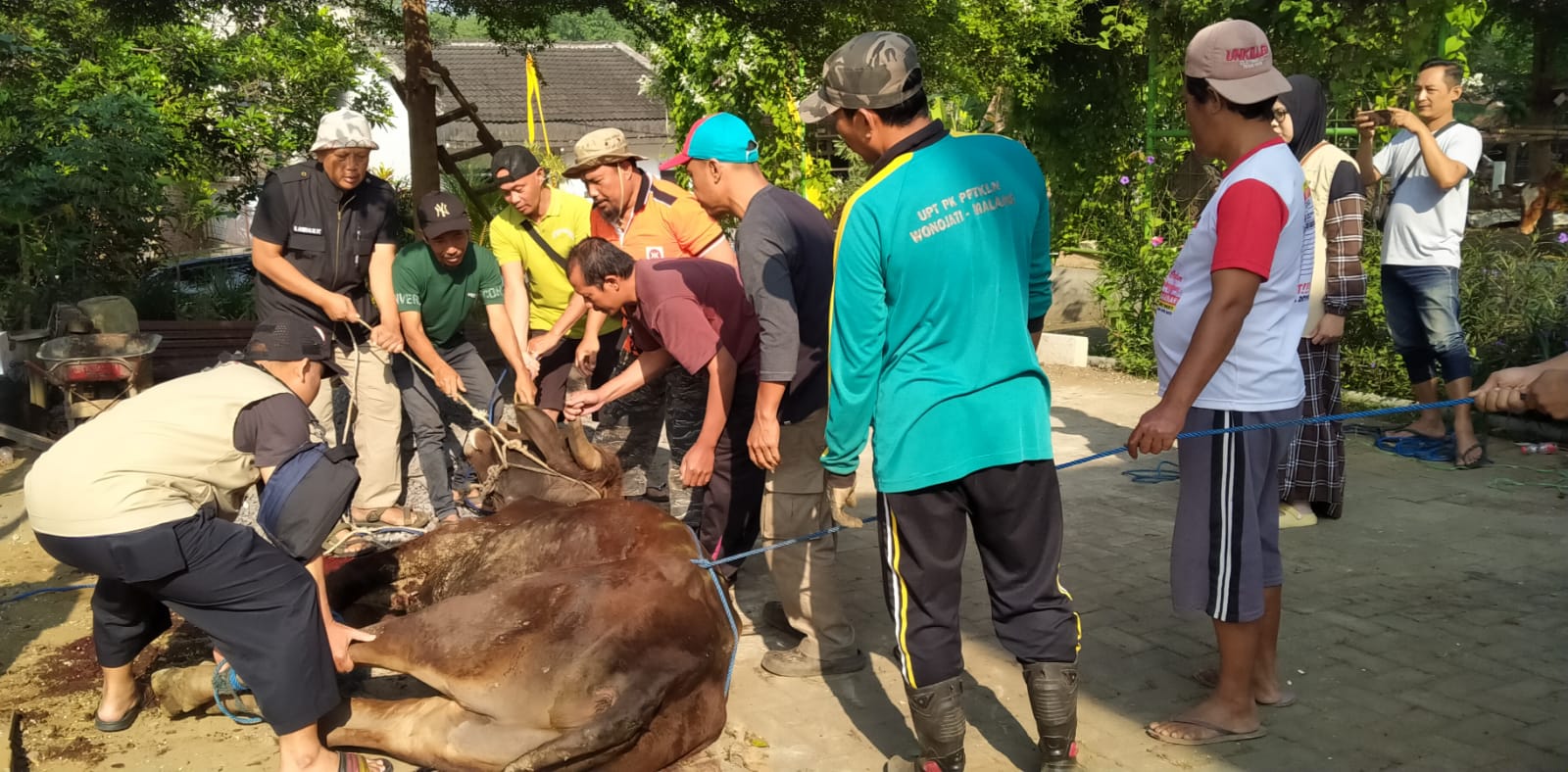 Bahagiakan Umat, PKS Bagikan Hewan Kurban ke Tiap Dapil