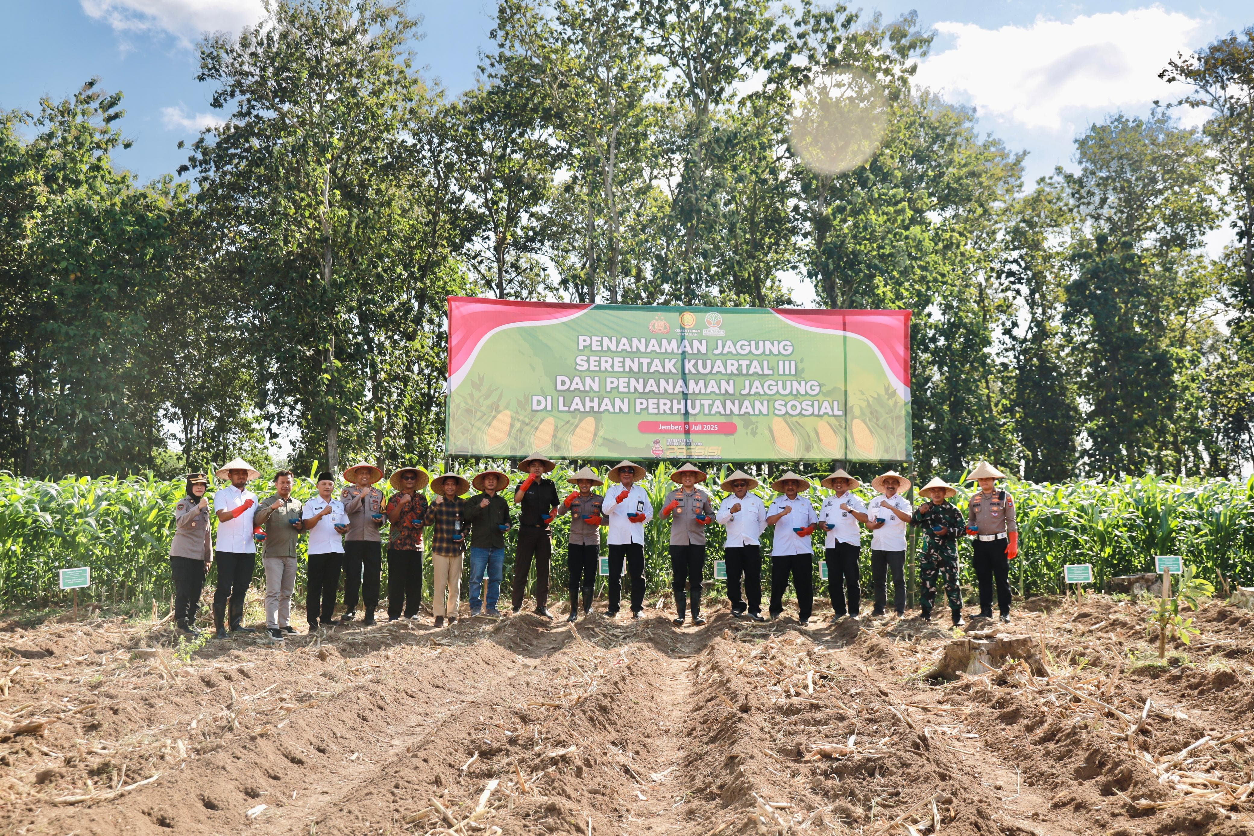 Jember Berpartisipasi dalam Penanaman Jagung Nasional untuk Ketahanan Pangan
