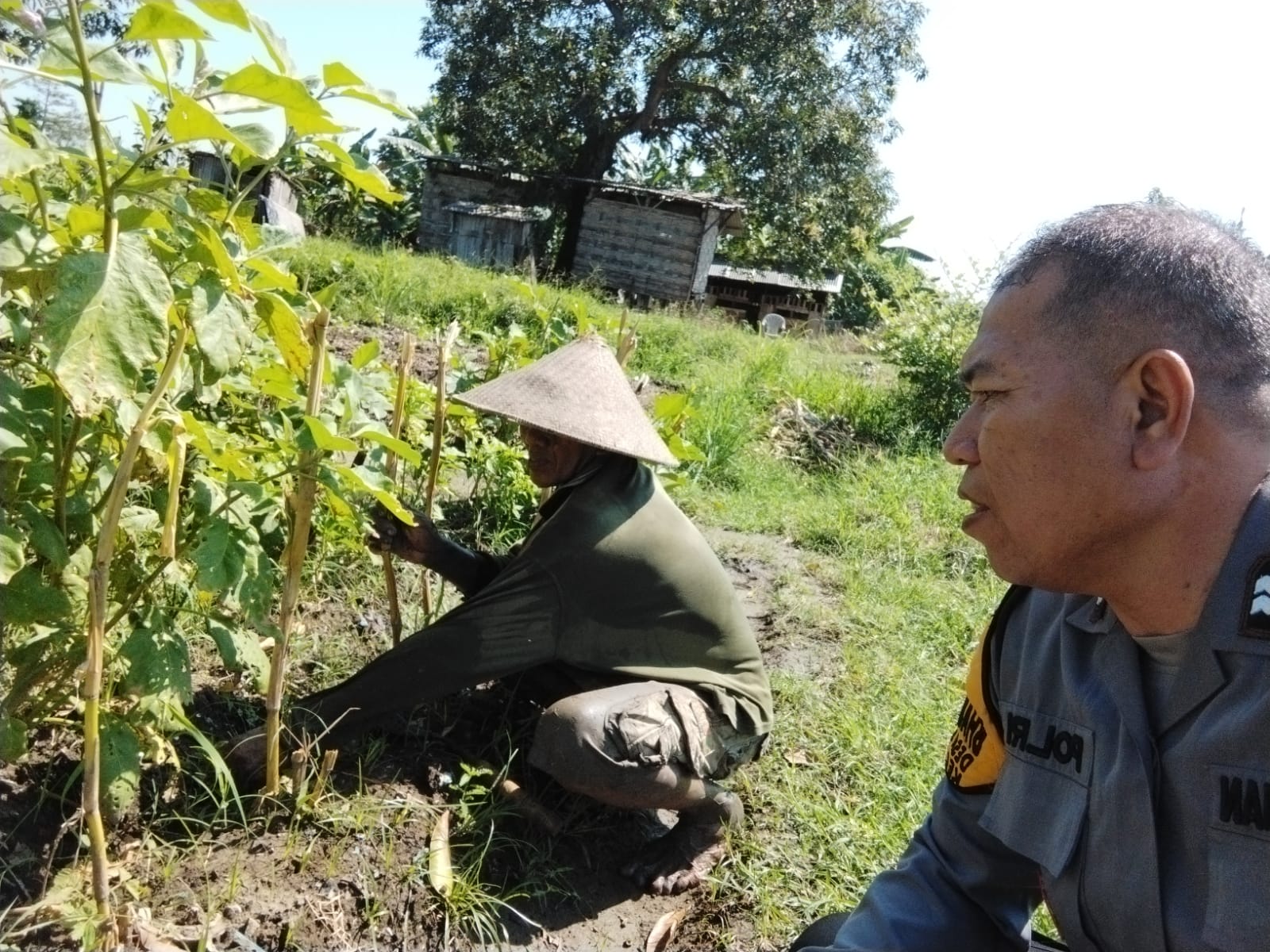 Bhabinkamtibmas Buncitan Sedati Bersama Warga Benahi Lahan P2B untuk Dukung Ketahanan Pangan Polresta Sidoarjo