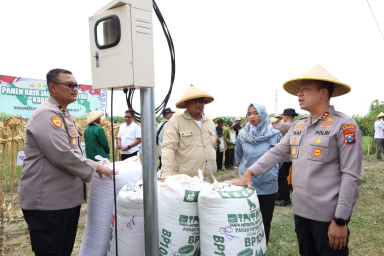 Polres Tulungagung Pimpin Panen Jagung Serentak di Kecamatan Ngantru
