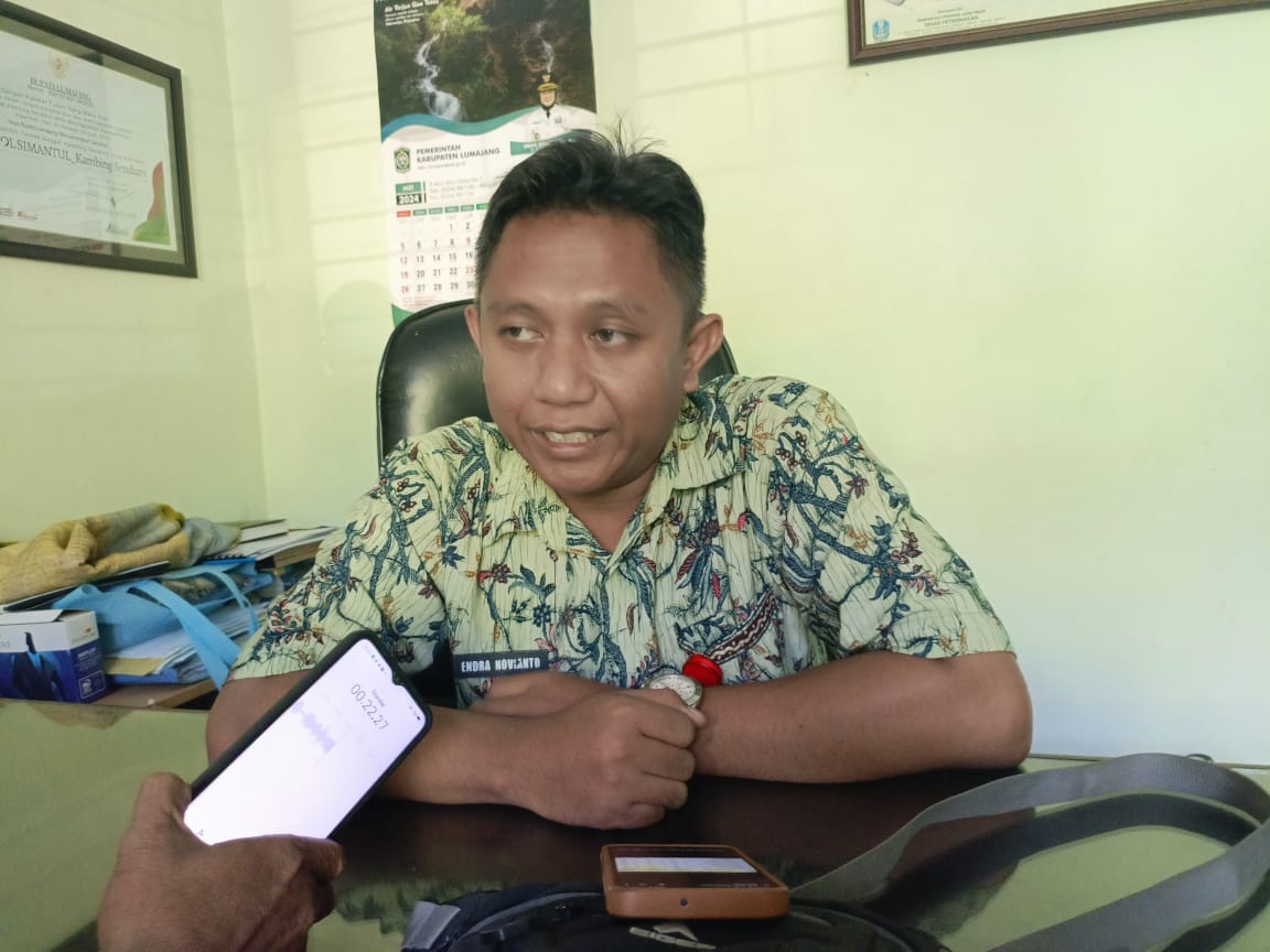 Jelang Iduladha, DKPP Lumajang Antisipasi Penyebaran Penyakit Hewan Ternak