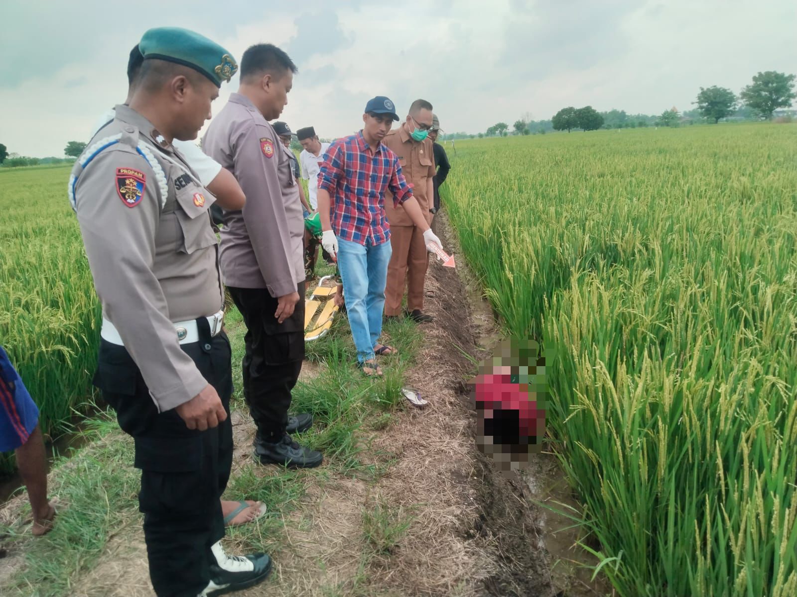 Listrik Jebakan Tikus Kembali Memakan Korban, Tewaskan Petani Balongpanggang Gresik
