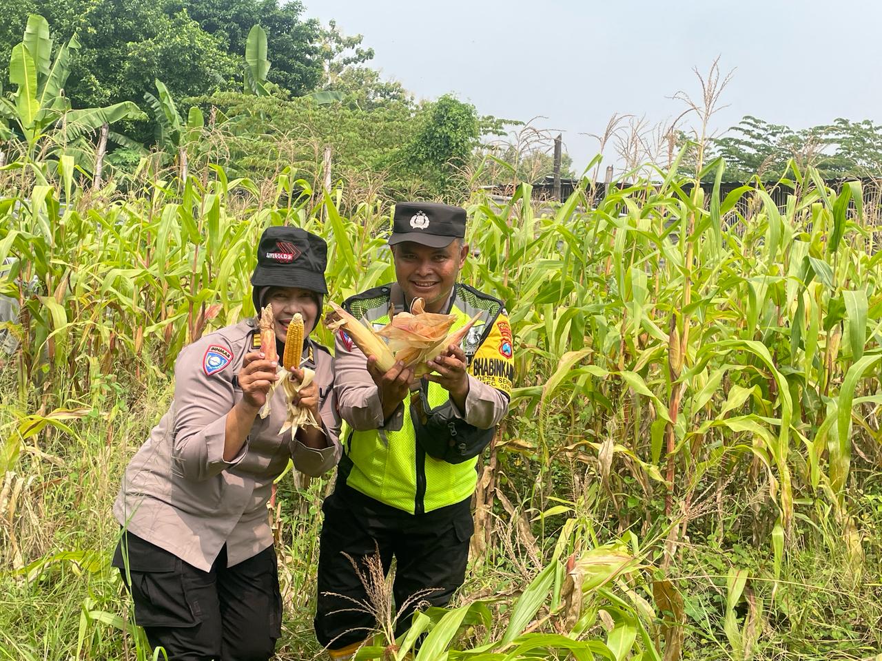 Polsek Gedangan Pacu Progres Lahan Ketahanan Pangan di Desa Semambung