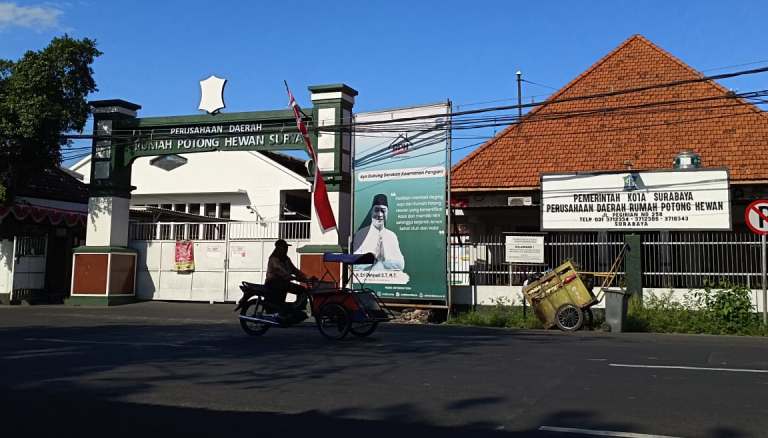 Respons Penolakan Relokasi Jagal Sapi, Wali Kota Eri Tegaskan RPH Pegirian Tetap Pindah