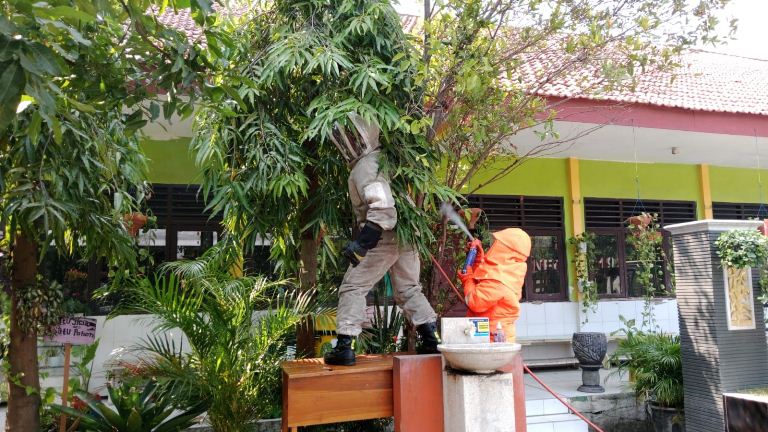 12 Siswa SDN di Gresik Dipulangkan Usai Tersengat Tawon di Sekolah, Damkar Turun Tangan