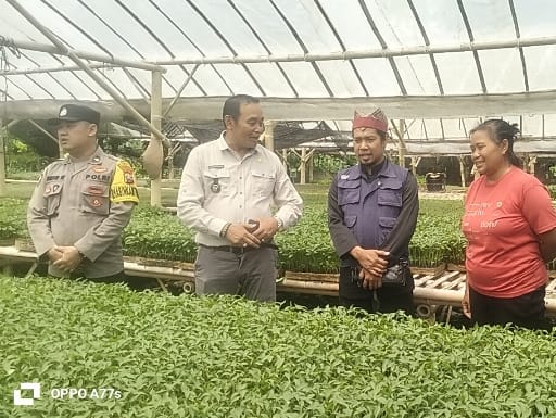 Bhabinkamtibmas Polresta Banyuwangi Monitoring Kebun Tomat  Dukung Ketahanan Pangan