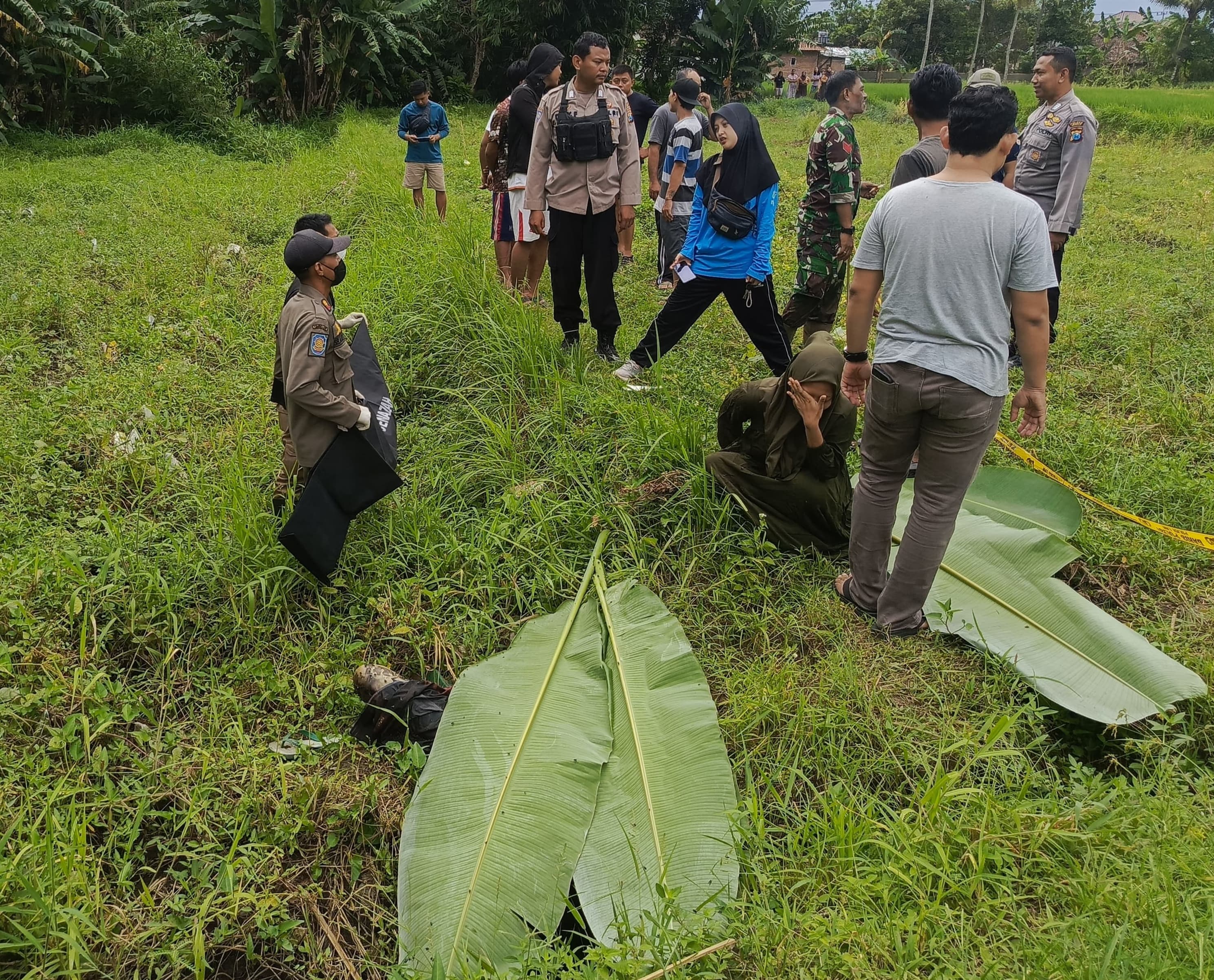 Bau Menyengat di Sawah Ungkap Jasad Kakek yang Hilang 5 Hari Lalu