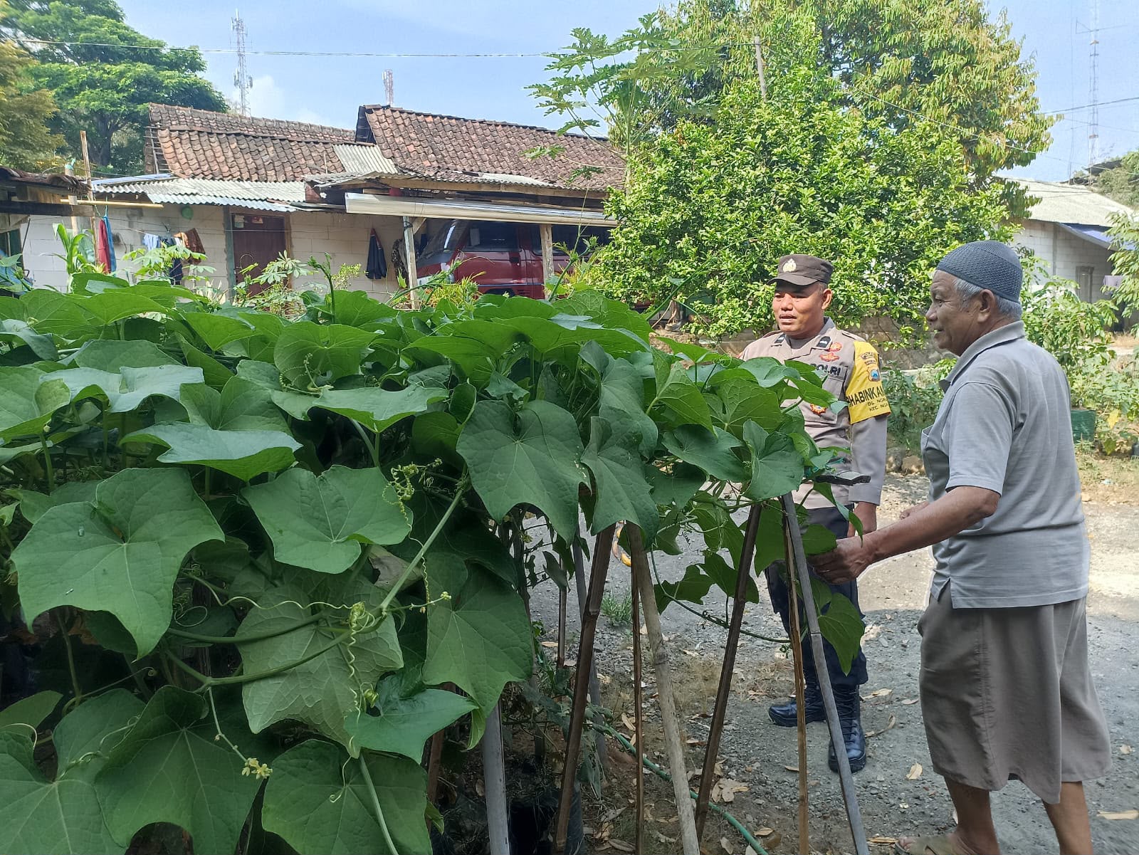 Bhabinkamtibmas Ngrambe Monitoring Pekarangan Sayuran Warga, Perkuat Ketahanan Pangan di Ngawi