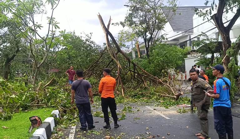 Angin Kencang Tumbangkan Pohon dan Seret Mobil ke Sungai di Surabaya