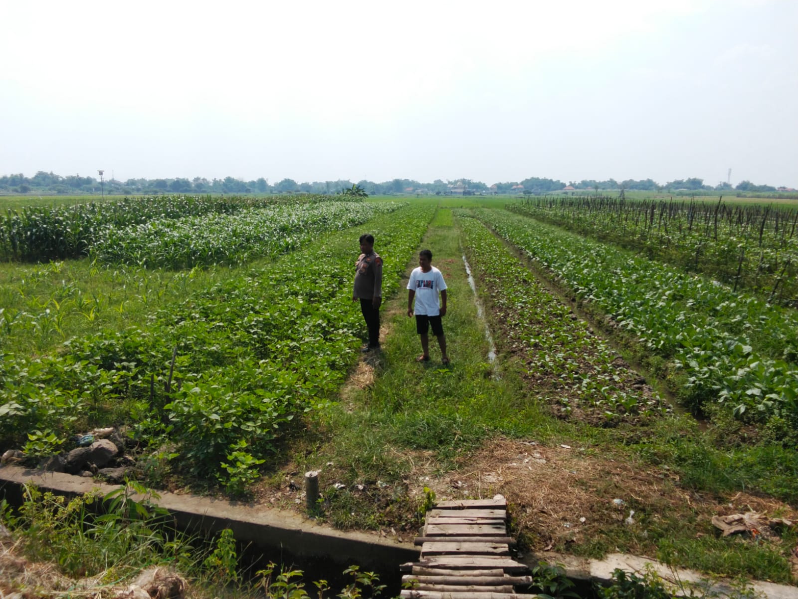 Polsek Prambon Apresiasi Pertanian Kedungkembar