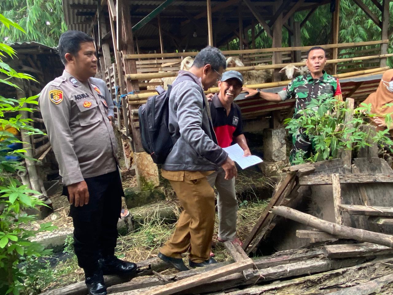 Tiga Pilar Tulangan Sidoarjo Periksa Hewan Kurban