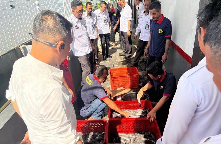 Panen Raya Lele Lapas Jember, Bukti Nyata Pembinaan WBP dan Kontribusi pada Ketahanan Pangan Nasional