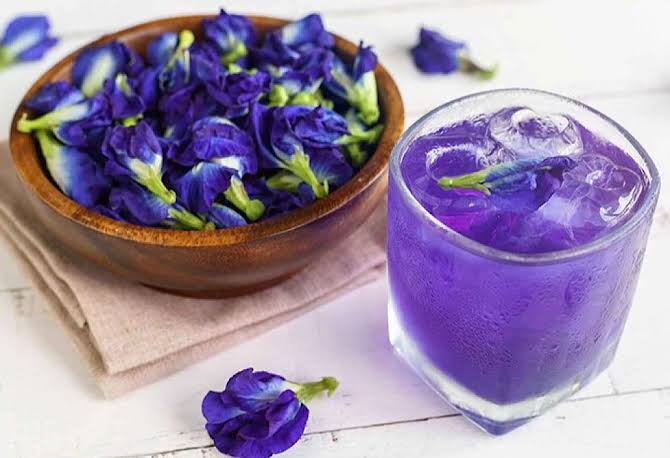 Berikut 7 Manfaat Bunga Telang untuk Kesehatan