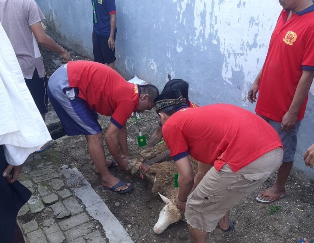 Warga Binaan Lapas Jember Rayakan Iduladha dengan Semangat, Sembelih 11 Ekor Kambing