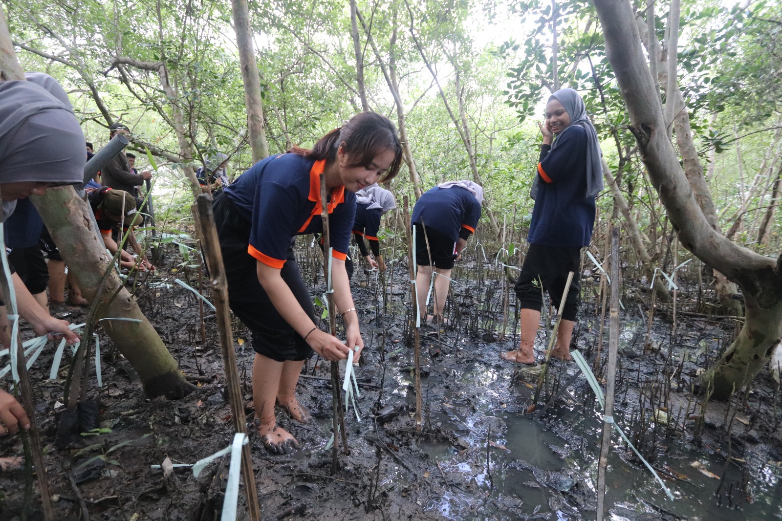 Peduli Lingkungan, Mahasiswa UHW Perbanas Tanam Mangrove