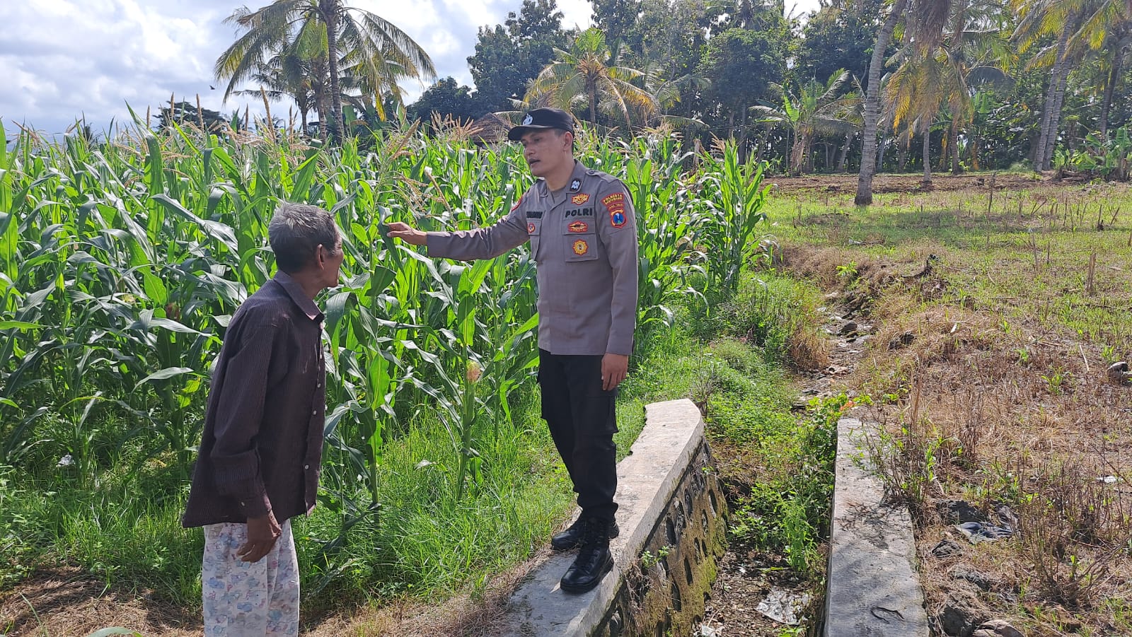 Dukung Asta Cita Presiden Prabowo Subianto, Polresta Banyuwangi Dampingi Petani Jagung