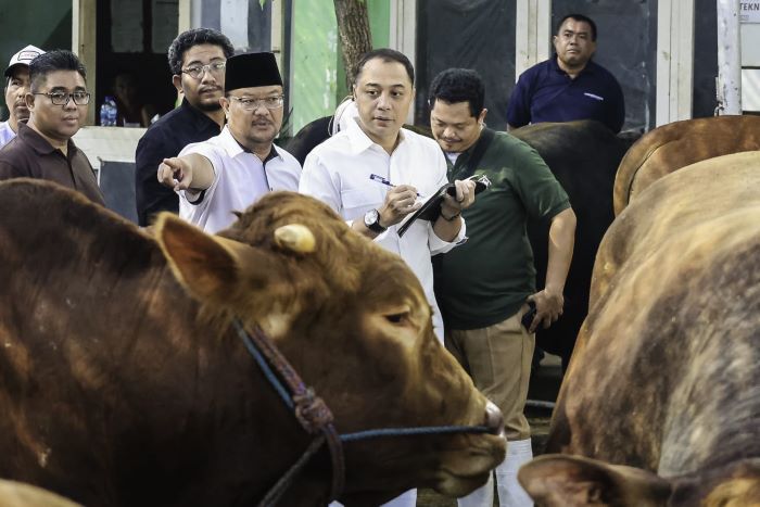 Wali Kota Tinjau Sapi Presiden dan Kesiapan RPH Surabaya: Imbau Warga Tak Buang Rumen ke Sungai