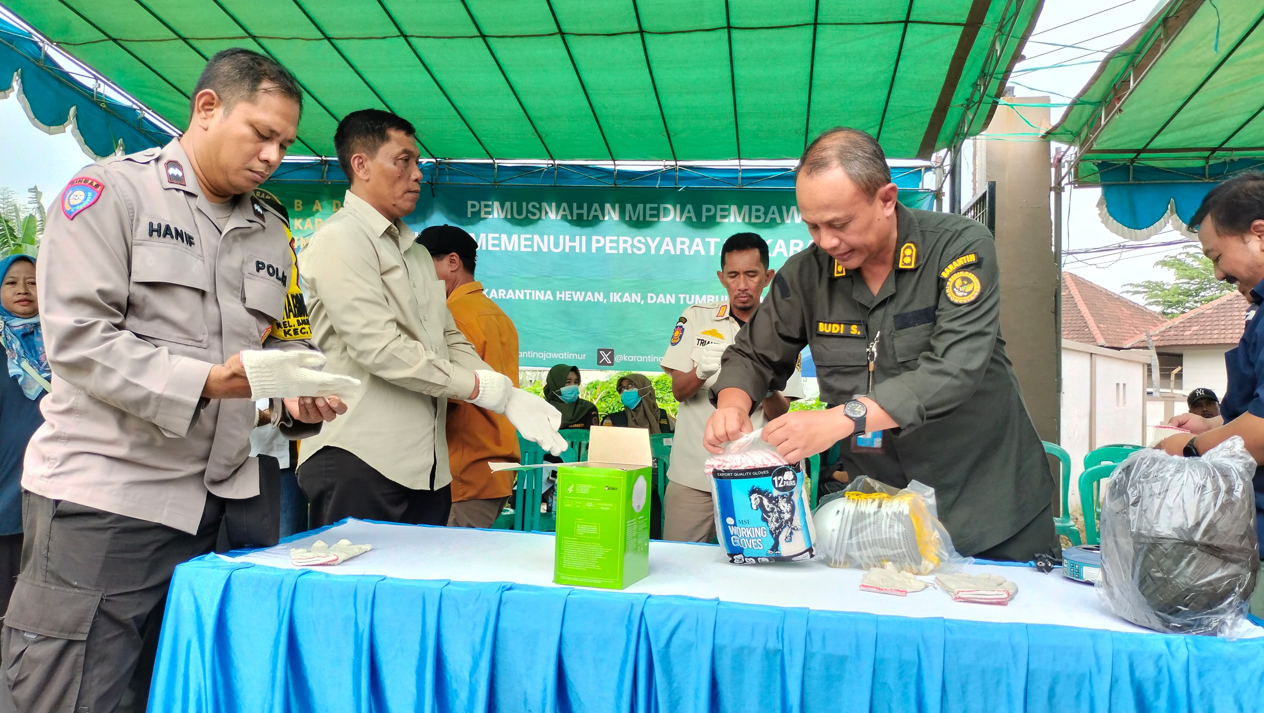 Polsek Tandes Sinergi Tiga Pilar, Ratusan Bibit Ilegal Asal Luar Negeri Dimusnahkan