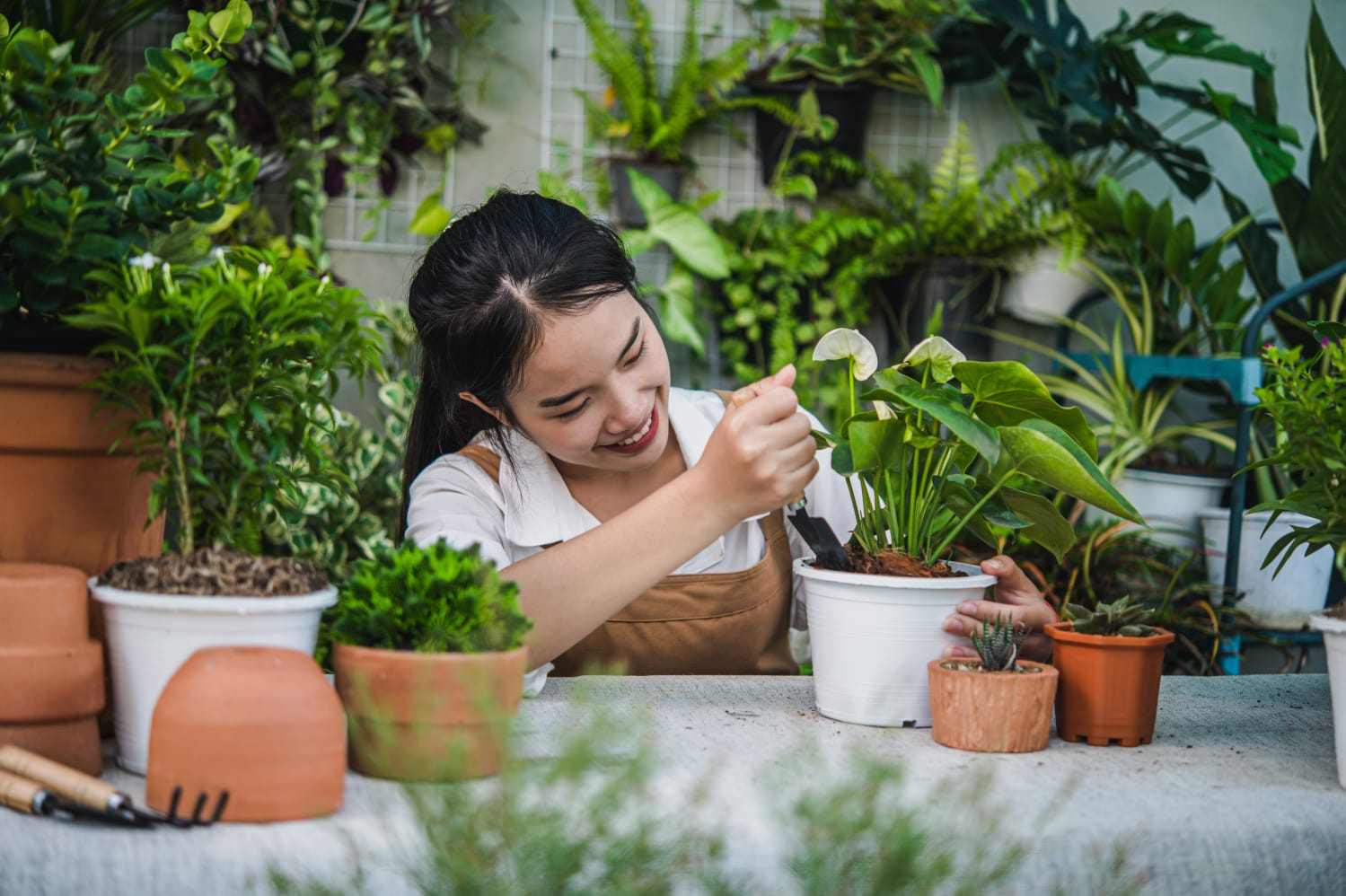 Ingin Mulai Hobi Berkebun? Hindari Kesalahan-Kesalahan Ini
