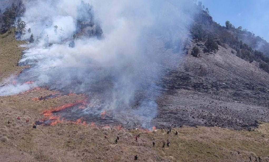 Polda Jatim Ambil Alih Kasus Kebakaran Gunung Bromo