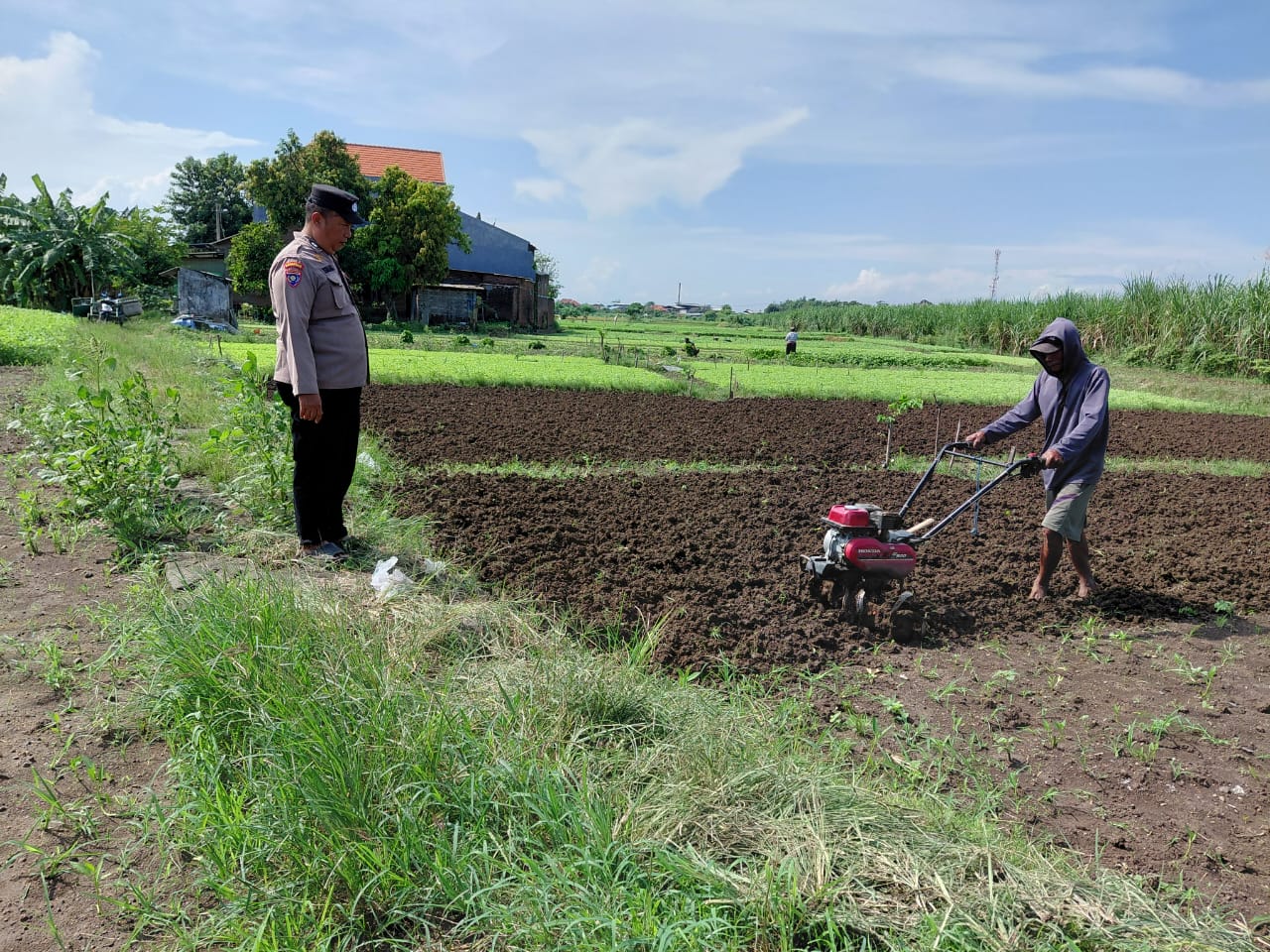 Polisi Dampingi Warga Pangkemiri Tulangan Kelola Pekarangan Pangan Bergizi