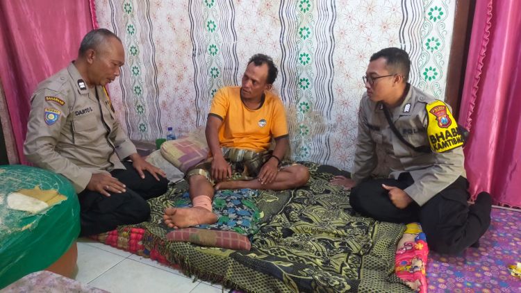 Monyet Liar Berulah di Jember, Serang Warga hingga Ada yang Urat Kakinya Putus