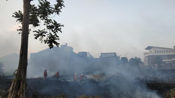 Musim Kemarau, Surabaya Waspada Kebakaran Lahan Terbuka