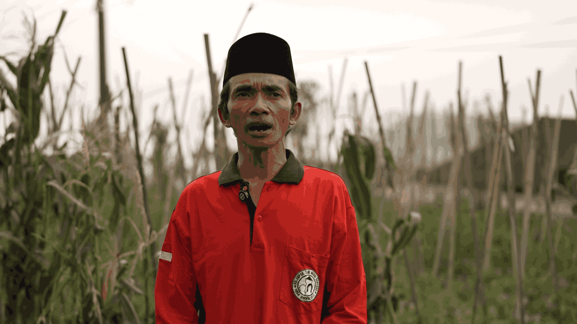 Program MBG Presiden Prabowo Sukses Dongkrak Pendapatan Petani Boyolali Hingga 60 Persen