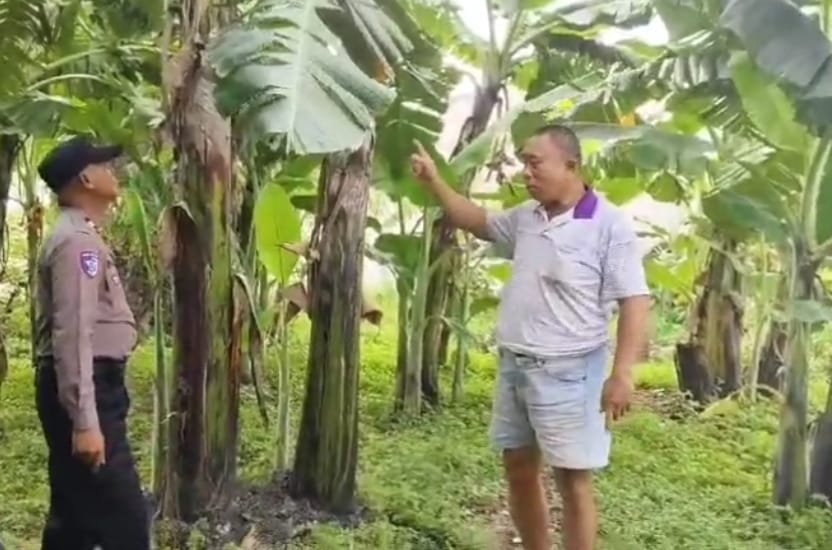 Kapolsek Taman Masifkan Peran Bhabinkamtibmas Dukung Ketahanan Pangan