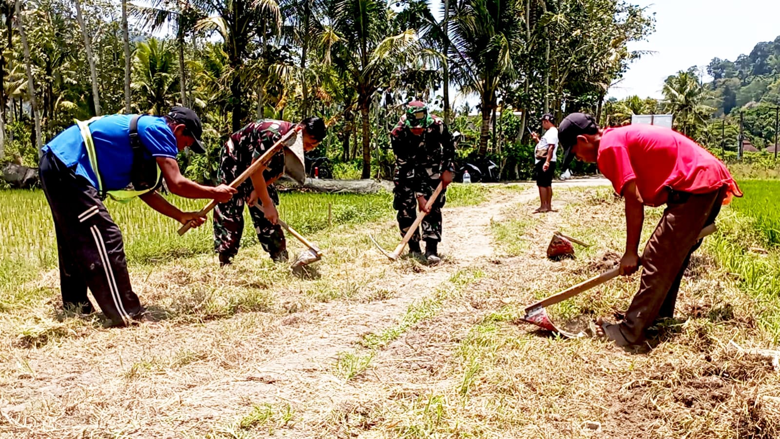 TMMD 126 Lebakharjo Bangun Jalan Usaha Tani 220 Meter